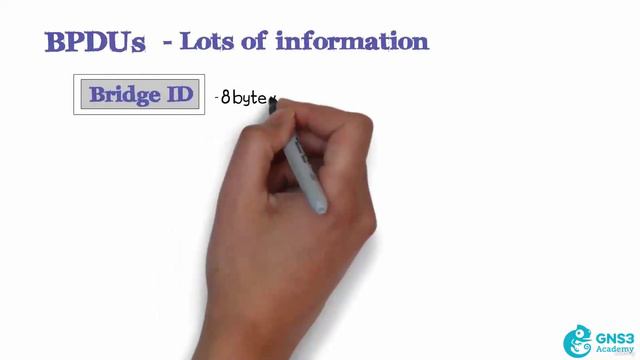 04 BPDUs and Bridge IDs