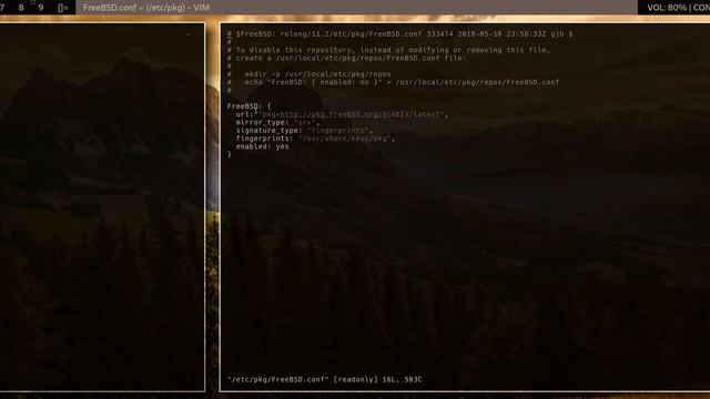 Why I use FreeBSD (Part 2): poudriere (jails package builder)