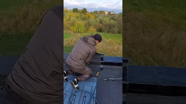 Нужны профессионалы? Вы на месте! 