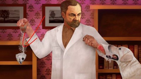 114 — Pasteurella multocida