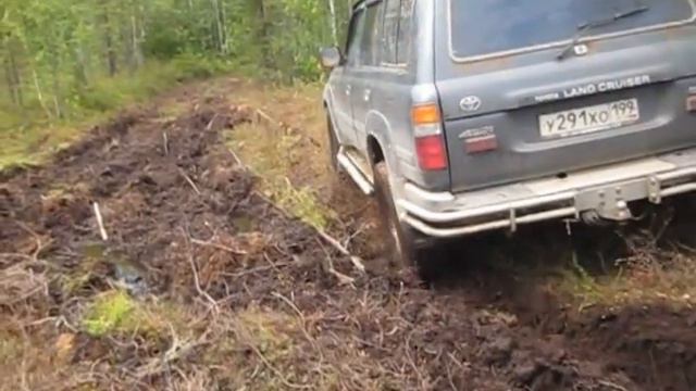 Топкое место TLC 80