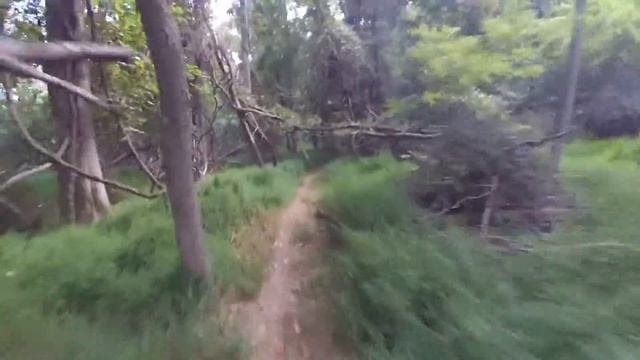 Mountain biking at Lehigh University Sayre mt. On a Scott aspect 770 hardtail