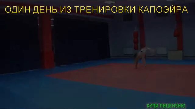 один из тренировки капоэйра