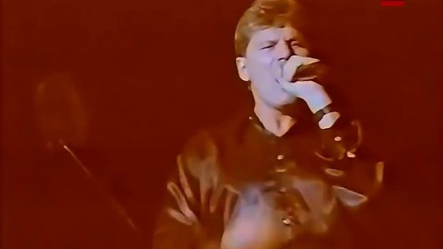 Сектор газа - 30 лет \ Sector Gaza - 30 years