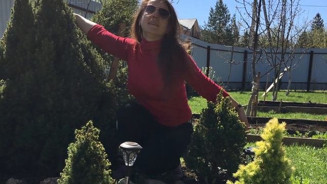 Моя любимая дача!!! Немножечко лета!!!