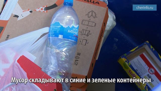 Раздельный сбор мусора во дворах
