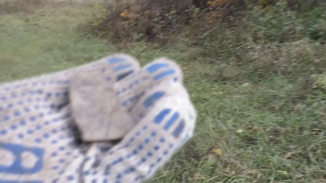 НАШЁЛ ЦАРСКОЕ СЕРЕБРО В ОБЫЧНОМ ДЕРЕВЕНСКОМ ОГОРОДЕ