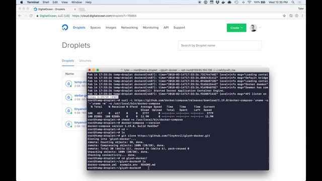 Stellar PostgreSQL to GraphQL: Lesson 2