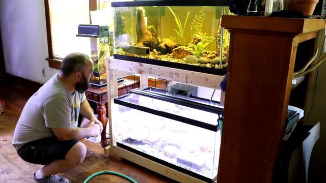 Working in the fishroom New Tank Setup and Maintenance       