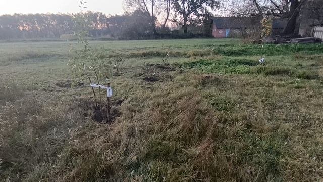 Первый приезд в деревню после покупки дома (часть 1)