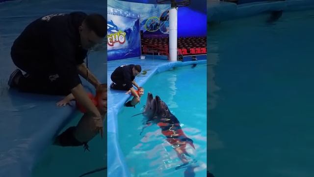 Дельфинарий.Парк Ашхабад.Ташкент(1)