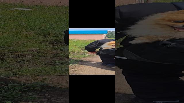 1000040006.mp4