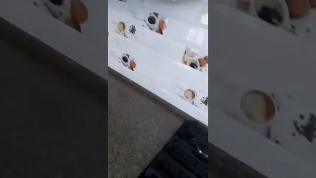 Кухня, как надо. Готово №1. Хозяева кухню уже обживают.