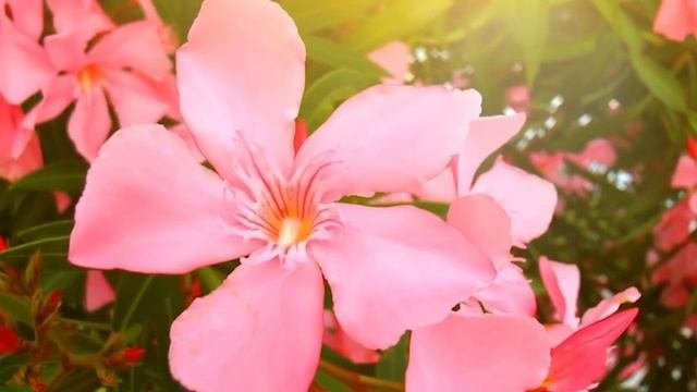  заговор от мести и проклятияваш
