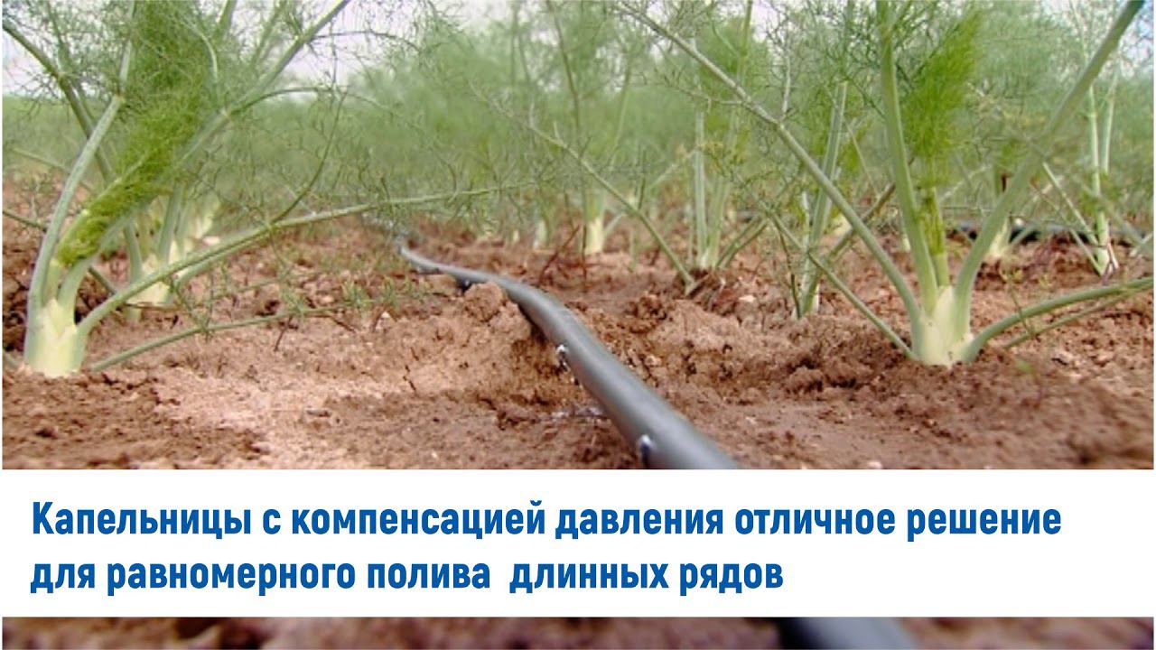 Какой должна быть капельная трубка для оптимального качества орошения?