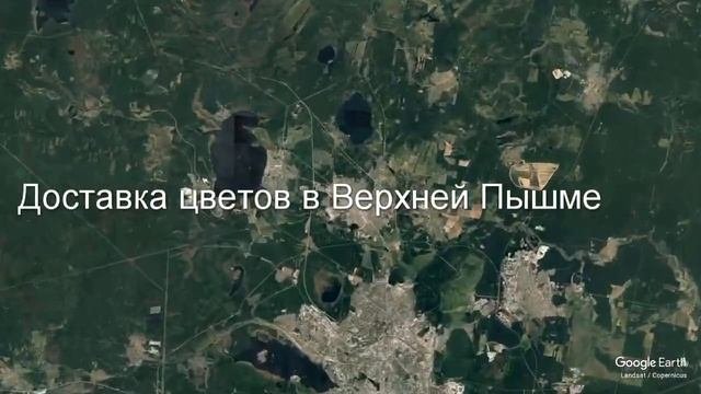 Доставка цветов в Верхней Пышме - Заказ букетов от компании Скорая подарочная помощь