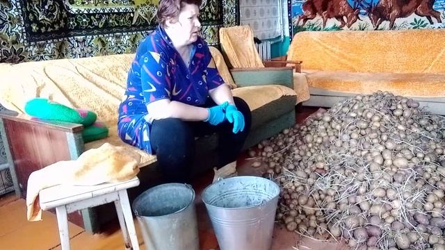 Как я из подпола вытащила картошку