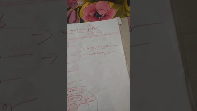 Production Management And MarketingChapte 5  Product and Pricing 2nd part
