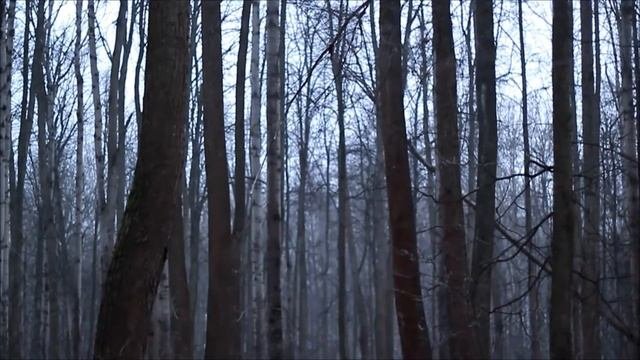"Спящая красавица"... другой взгляд