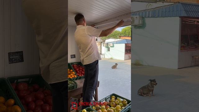 Монтаж вертикальных не стандартных жалюзи в овощном павильоне города Севастополя