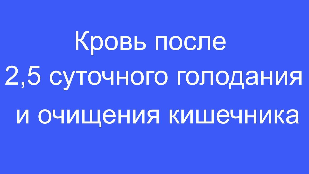 Кровь после 2,5 суточного голодания и очищения кишечника