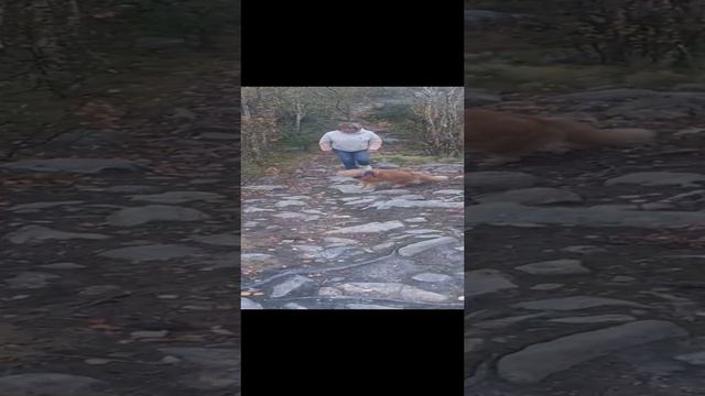 Прогулка