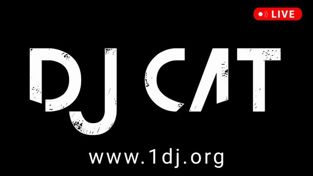 Новогодние хип-хоп сеты для вечеринок и дискотек 2024 DJ CAT