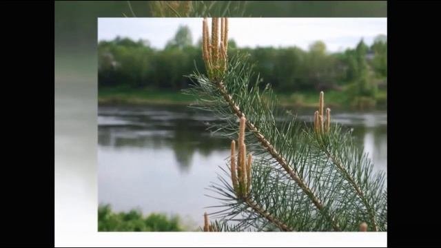 В будущее   через знания и творчество