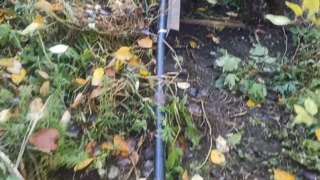 Влагозарядковый полив сада в зиму мотопомпой с Енисея.