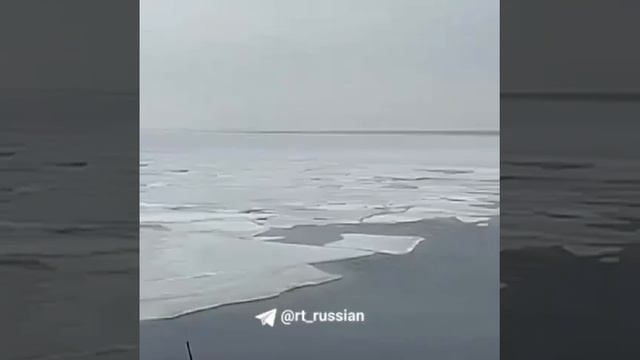 Группу школьников едва не унесло на льдине во Владивостоке