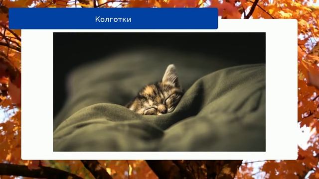 Колготки