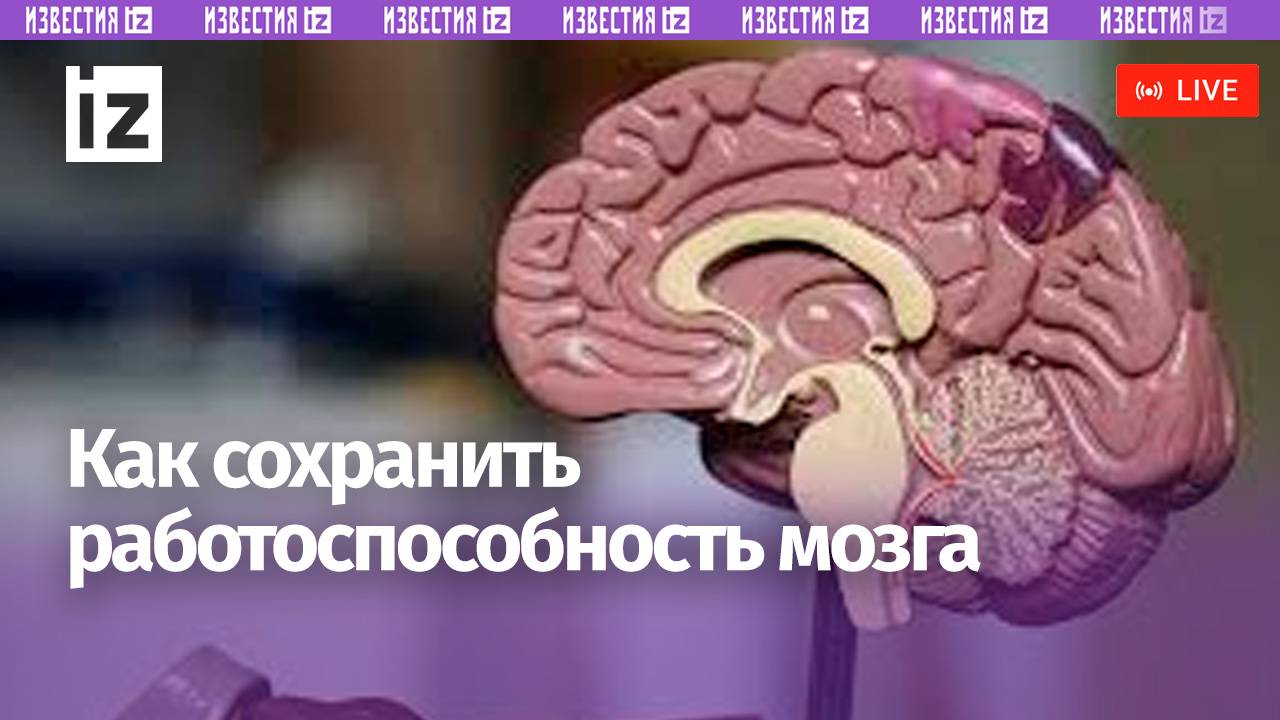 «Известия» расскажут о том, как сохранить работоспособность мозга / Пресс-конференция