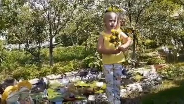 Вика Алехина