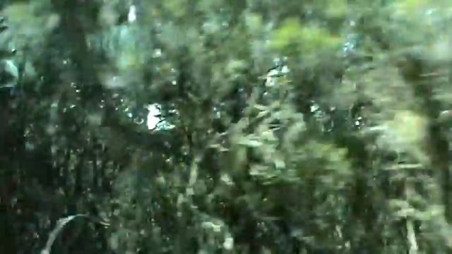 ИСПАНИЯ: Едем по острову Ла Гомера... Канары Испания La Gomera Canary Islands Spain