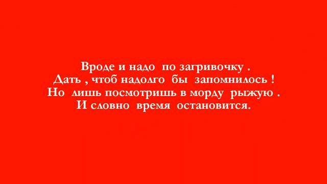 РЫЖИЕ -БЕССТЫЖИЕ !=-)