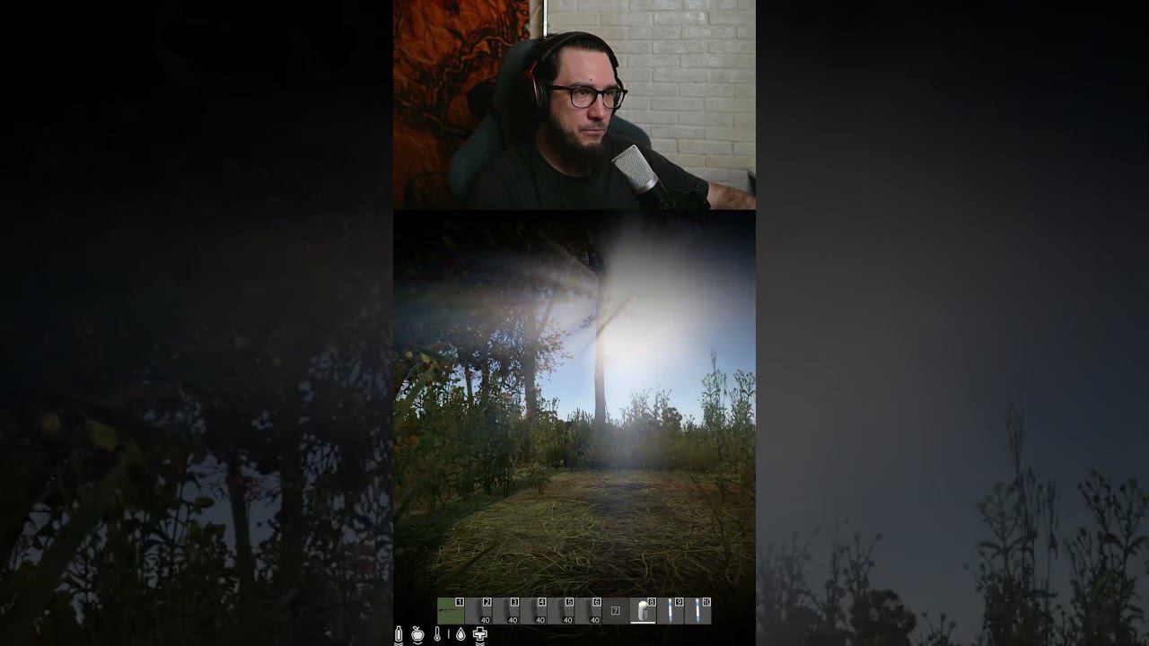 ПЫТАЛСЯ ВЫЖИТЬ ДО ПОСЛЕДНЕГО #shorst #dayz #дейз #дейз #стрим #вфня #dayzpvp #дейзи #дейзпвп