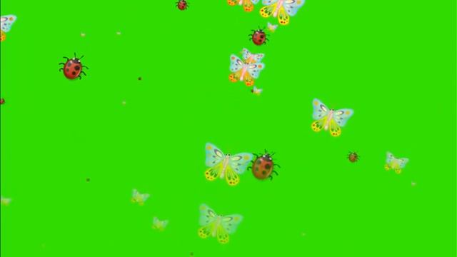 Футаж насекомые бабочки на зеленом фоне Footage insects butterflies and in flight on a green