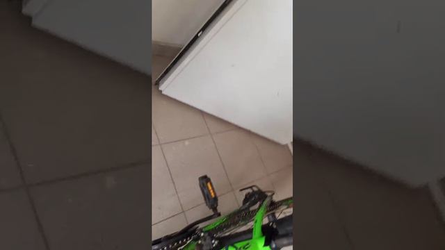 мы будем гулять