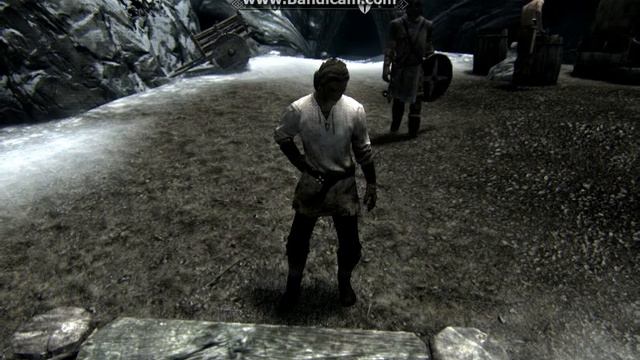 Skyrim Animated Idle