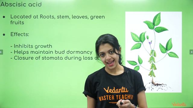 Chemical Coordination in Plants | ICSE Class 10 Biology Chapter 7 | SELINA @VedantuClass910