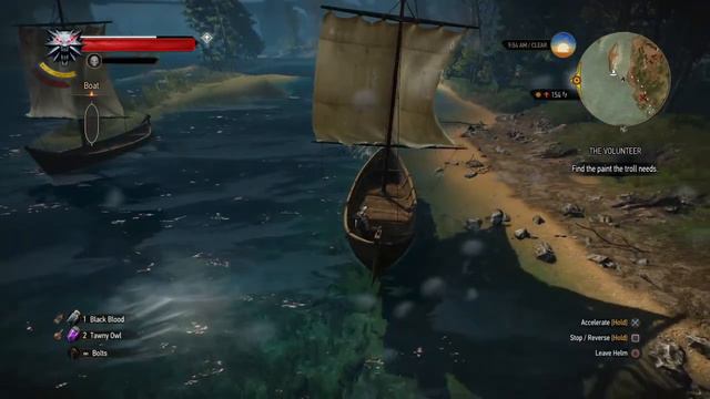 The Witcher 3: Wild Hunt Friendly Troll