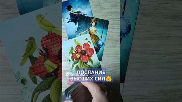 ПОСЛАНИЕ ВЫСШИХ СИЛ🌞 совет ВСЕЛЕННОЙ 💫 таро расклад