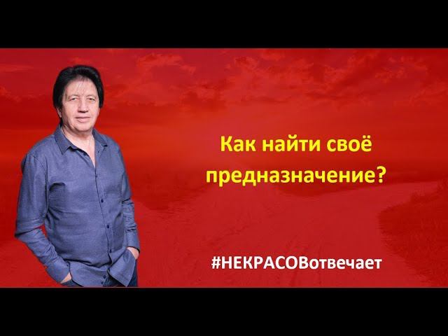 НЕКРАСОВ отвечает - Как найти своё предназначение?