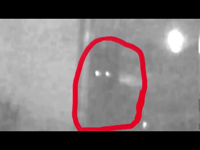 Топ 10 страшных существ снятых на камеру дома