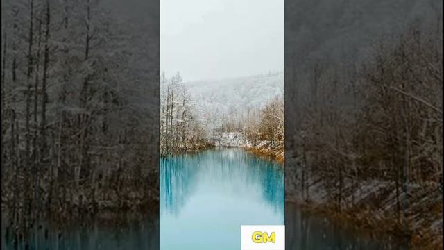 WoW Ответы Бонус Япония Голубой пруд Биэй 1-17
