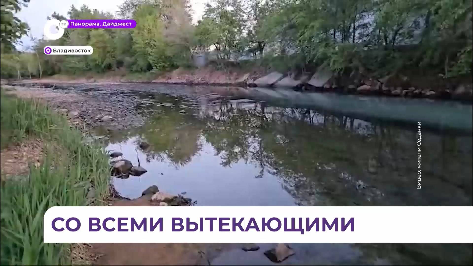 Жители Седанки обеспокоены сливом канализационных отходов в устье местной речки