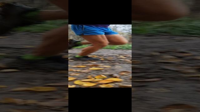 бег