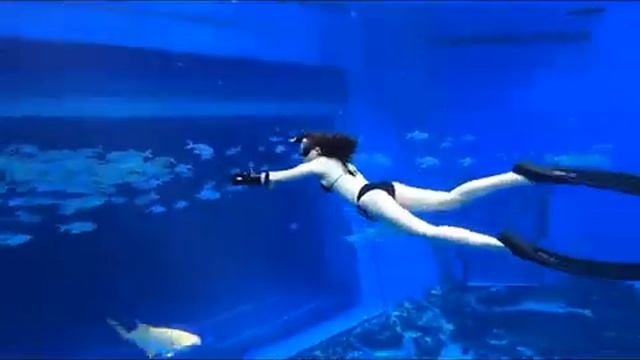 Снаряжение для подводного плавания