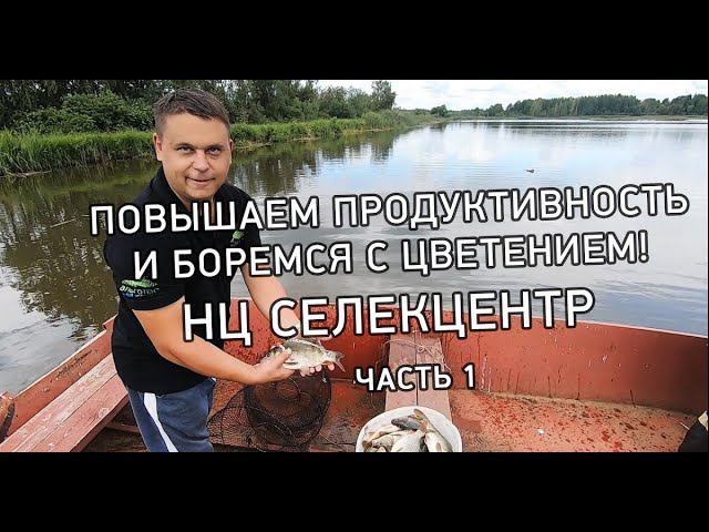 Как повысить продуктивность на  рыбном хозяйстве? избавиться от цветения и замора в жару #хлорелла