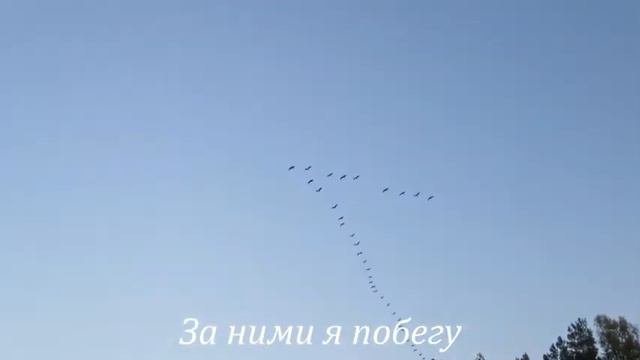 Здравствуй Осень!